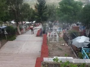 SESEQ realiza actividades permanentes contra arbovirosis en Querétaro 3 SESEQ realiza actividades permanentes contra arbovirosis en Querétaro