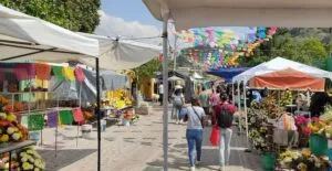 Saldo Blanco en Operativo con motivo de Día de Muertos en Querétaro 3 Saldo Blanco en Operativo con motivo de Día de Muertos en Querétaro