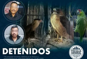 Dos detenidos con dosis de drogas y aves exoticas en Queretaro
