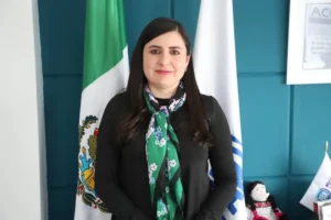 -Política-Fallida estrategia en seguridad, incrementa la violencia en el país: PAN Querétaro 2 Fallida estrategia en seguridad, incrementa la violencia en el país PAN Querétaro
