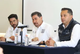 Paseo 5 de Febrero presenta 20 de avance SDUOP 1