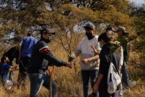 Se llevó a cabo una jornada de reforestación en el parque Joya-La Barreta 3 Se llevó a cabo una jornada de reforestación en el parque Joya-La Barreta
