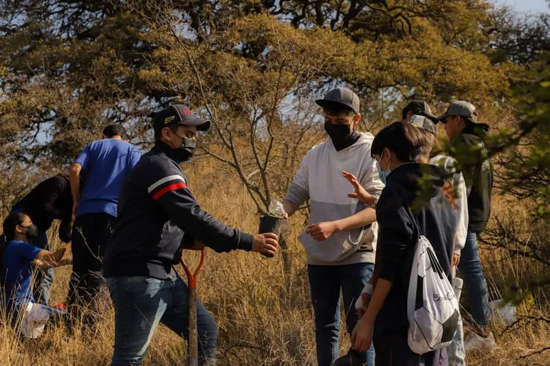 Se llevo a cabo una jornada de reforestacion en el parque Joya La Barreta 1