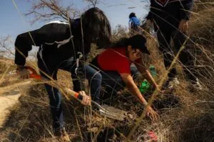 Se llevó a cabo una jornada de reforestación en el parque Joya-La Barreta 2 Se llevó a cabo una jornada de reforestación en el parque Joya-La Barreta