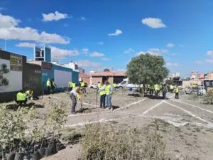 Gobierno Municipal e iniciativa privada realizan acciones de reforestación en El Capricho 2 Gobierno Municipal e iniciativa privada realizan acciones de reforestación en El Capricho