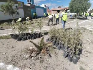 Gobierno Municipal e iniciativa privada realizan acciones de reforestación en El Capricho 3 IMG 20230927 WA0012