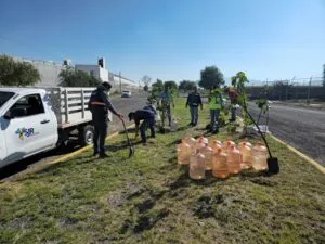 Gobierno Municipal e iniciativa privada hacen equipo con Programa Adopta un Camellón 2 Gobierno Municipal e iniciativa privada hacen equipo con Programa Adopta un Camellón