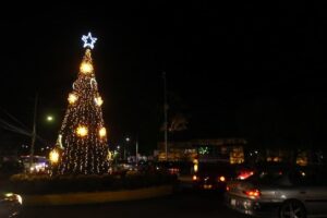 Familias sanjuanenses disfrutaron del Festival Navideño y encendido de Árbol en zona Oriente