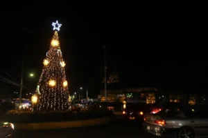 Familias sanjuanenses disfrutaron del Festival Navideño y encendido de Árbol en zona Oriente 3 Familias sanjuanenses disfrutaron del Festival Navideño y encendido de Árbol en zona Oriente
