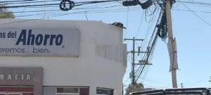 Trágico accidente en Colonia Nuevo San Juan: persona fallece electrocutada 2 IMG 20240219 WA0019
