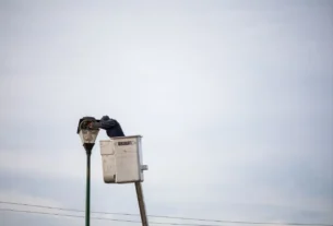 tmptitle