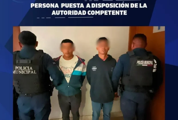 Borrador automático